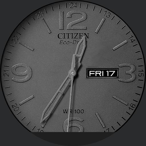 Tribute - Citizen BM8475 -black