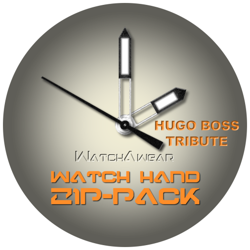 Hugo Boss Watch Hands