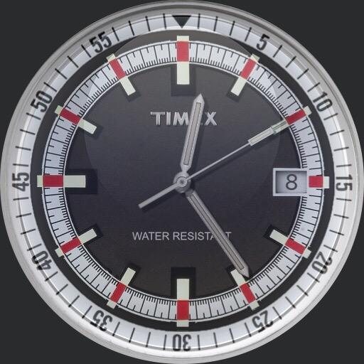Classic Timex T2N393