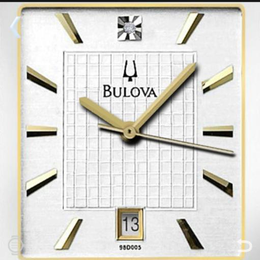 Boluva Calendar Date Watch