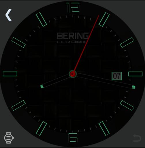 Bering watch