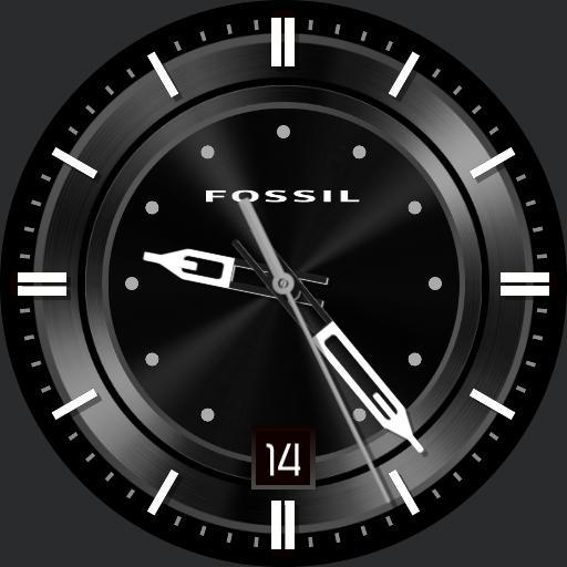 Fossils my way