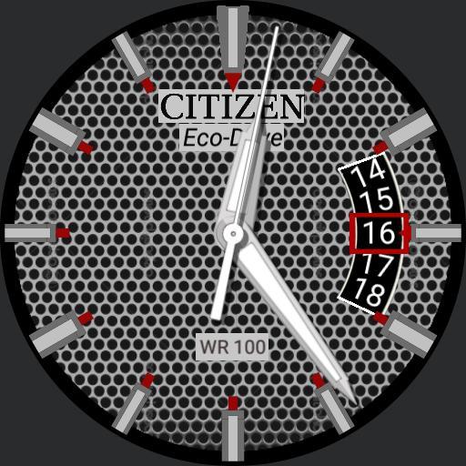 Citizen Eco-Drive WR100 Silver