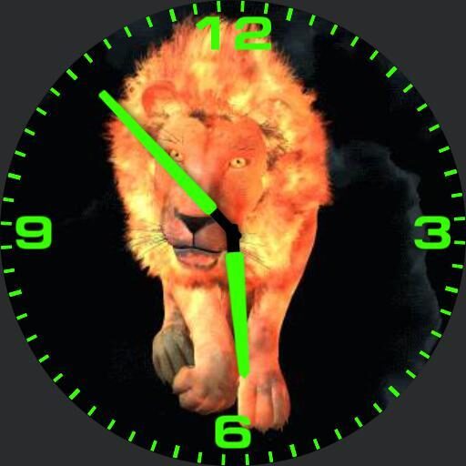 Lion walk