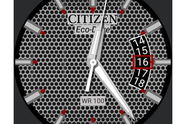 Citizen Eco-Drive WR100 Silver