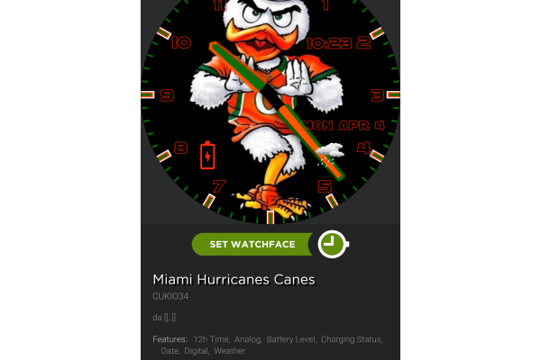 Miami Hurricanes