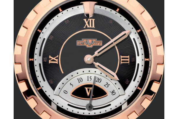 Dewitt Academia Serenity Tribute