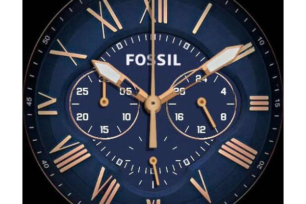 Fossil Grant FS4835
