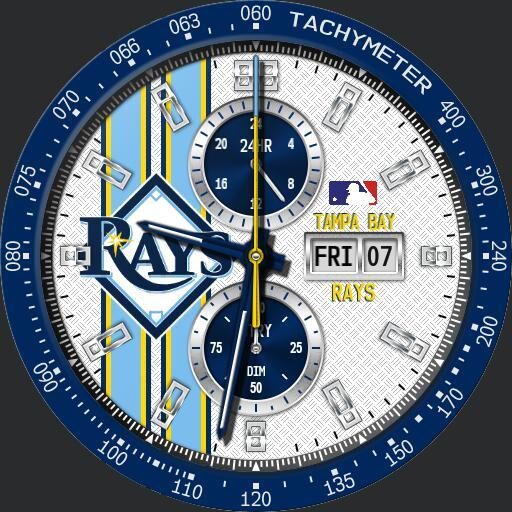 Tampa Bay Rays Modular Racer by QWW
