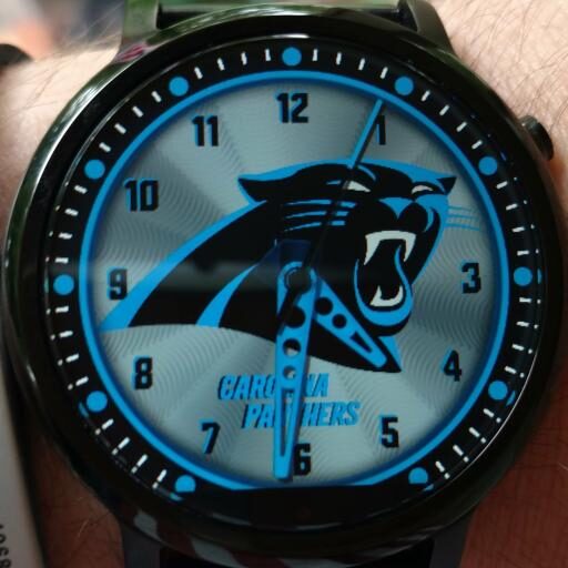 Carolina Panthers by QWW