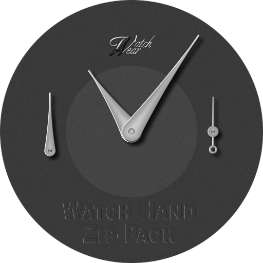 Watch Hand Zip-Pack FPJOL-MO Silver