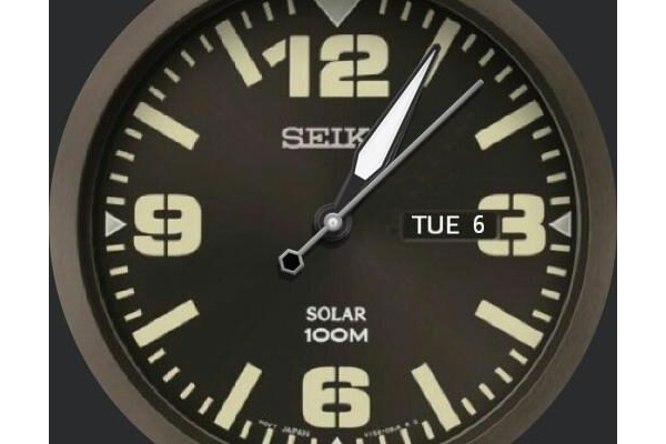 Seiko solar brown