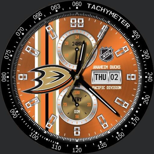 Anaheim Ducks NHL Modular Racer