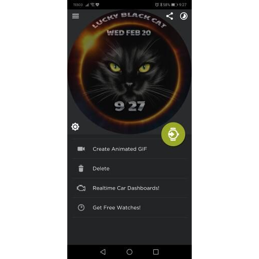 Lucky Black Cat