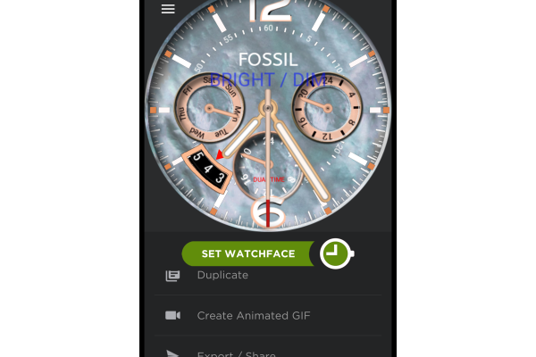 Fossil Nacre with Dim