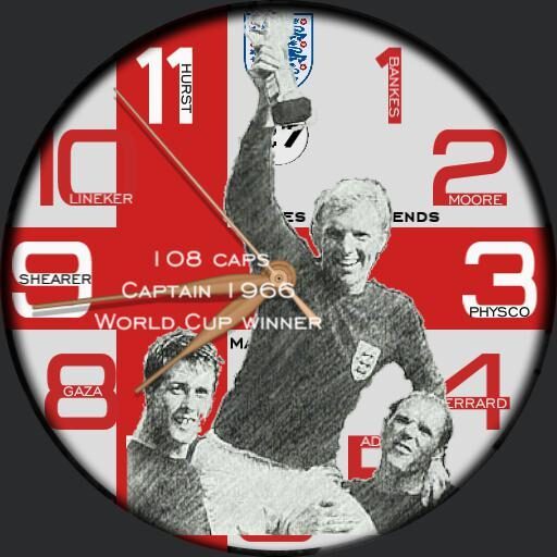 Born in England euro 2016 fan watch