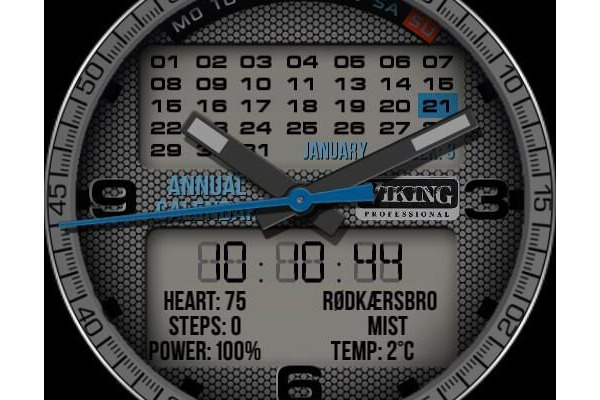 Viking Professional Annual Calendar