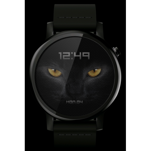 Black Cat