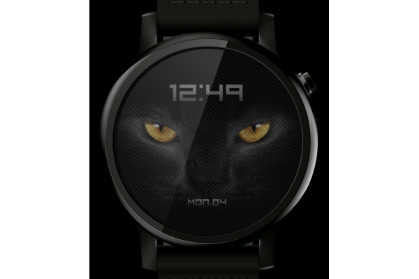 Black Cat