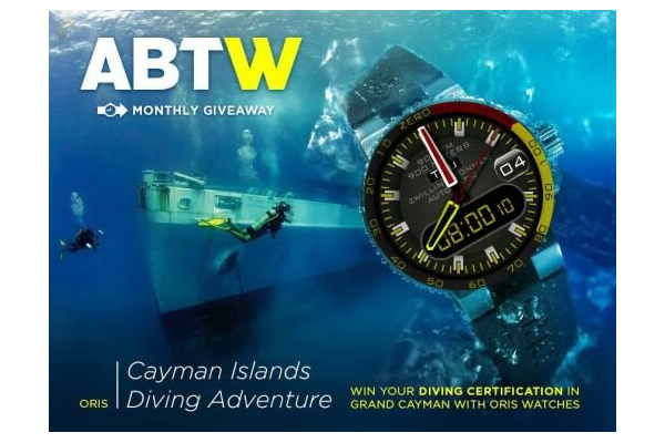 Zwilling Sonnen Bumble Bee Diver