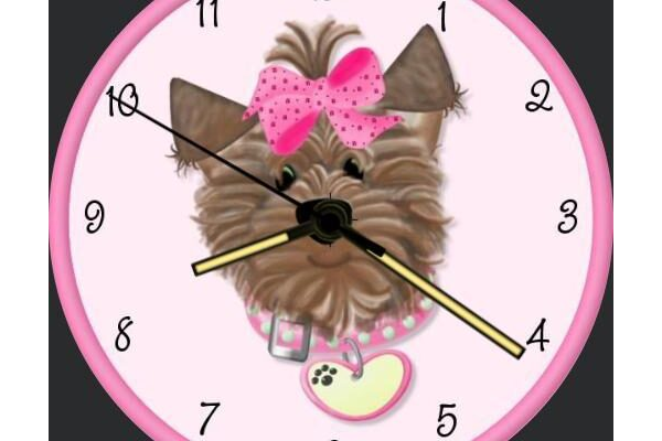 PinkWatch Dog