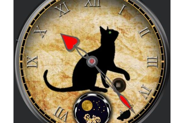 Cat & mouse