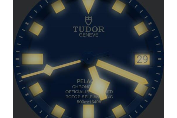 Tudor Pelagos Blue slo glo options