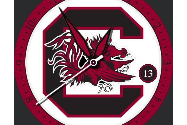South Carolina Gamecocks