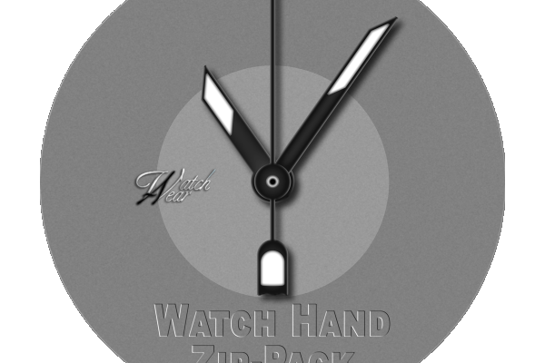 Watch Hand Zip-Pack - TAZ-DKNY