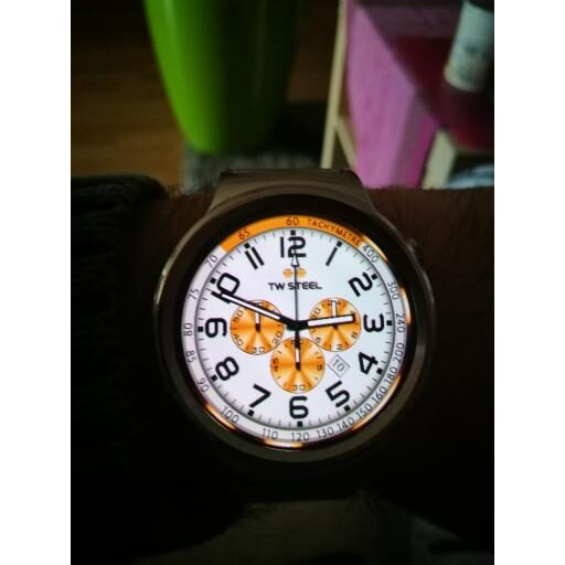TW STEEL