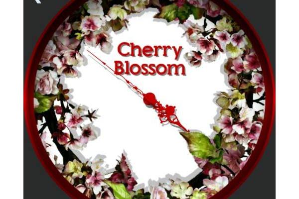 Cherry Blossom