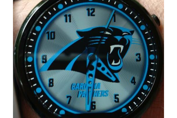 Carolina Panthers by QWW