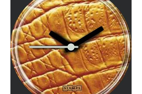 S.T.A.M.P.S. Croconge