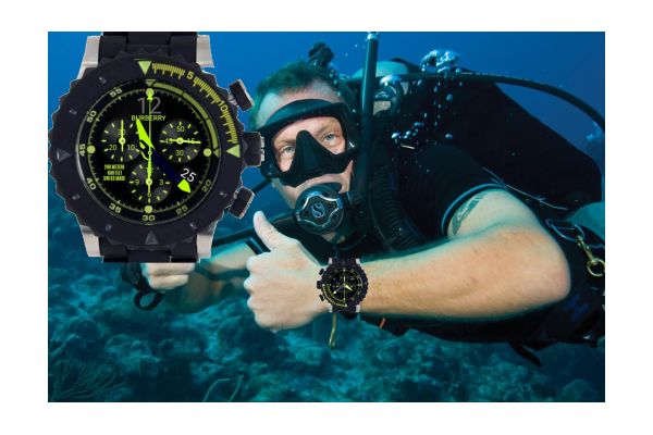 Burberry Antartic Sports