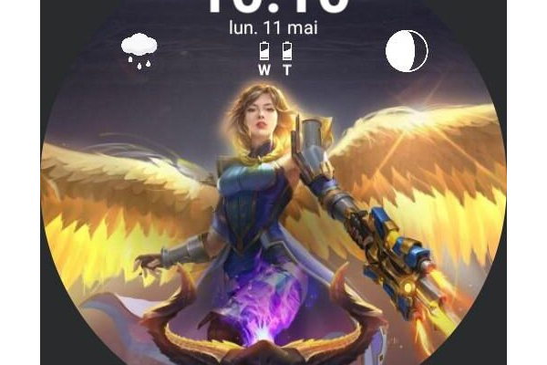 Paladins - Furia