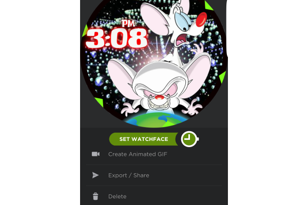 Pinky and the brain watch
