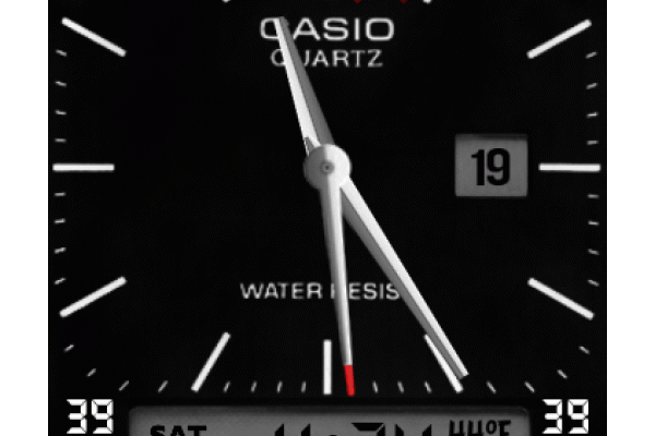 Casio Custom