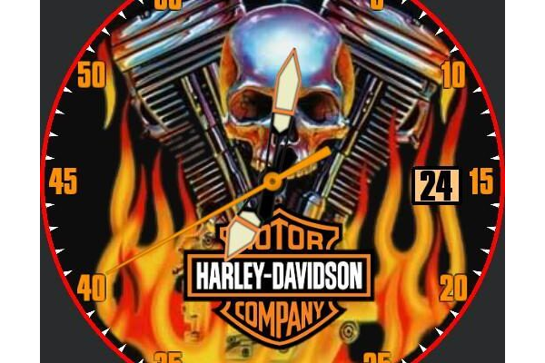 Harley skullz watch
