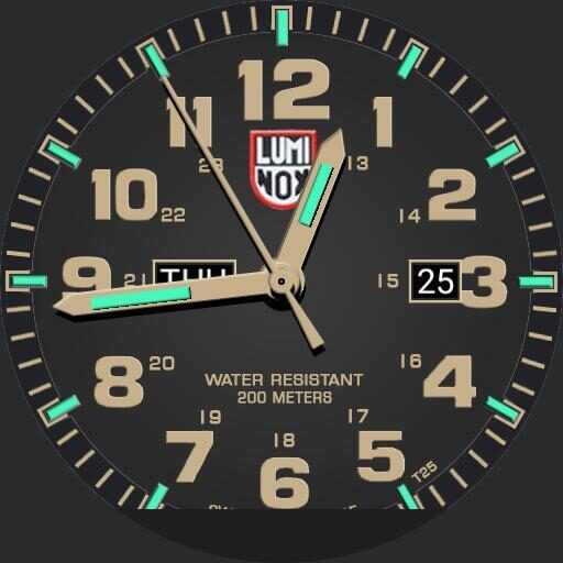 Luminox Atacama Field 1925