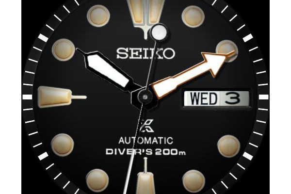 Seiko Prospex Automatic Diver Black Sea Limited Edition SRPC49K1