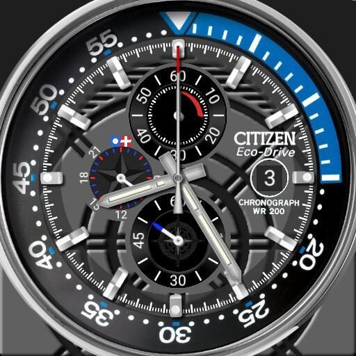 Citizen Endeavor
