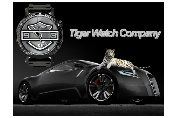 Harley Davidson Limited Edition