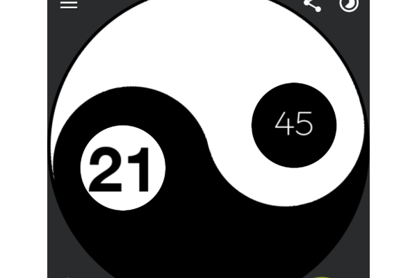 Yin Yang Watch