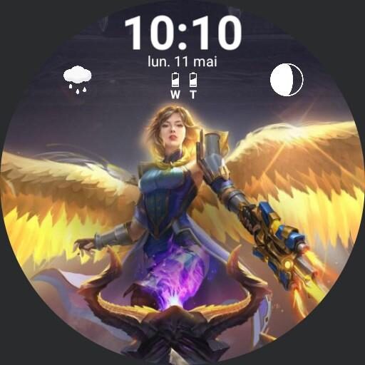 Paladins - Furia