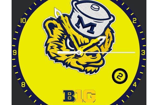 Michigan Wolverines Vintage