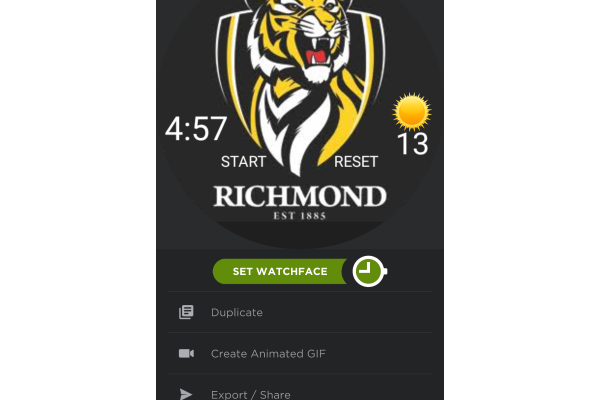 AFL Tigers