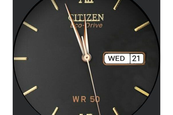 Citizen echo drive