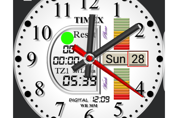 Timex Day and Date with BatteryBar