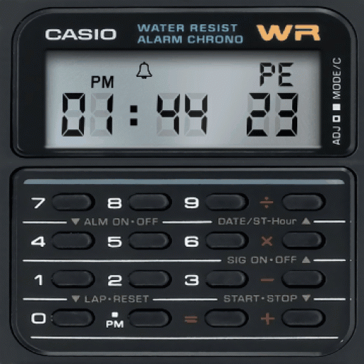 casio Ca53
