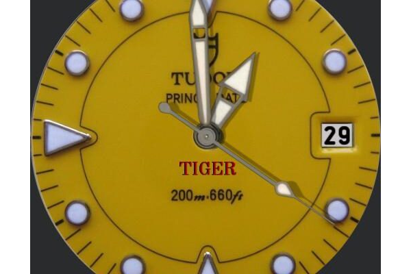 Tudor Prince Date Hydronaut Tiger